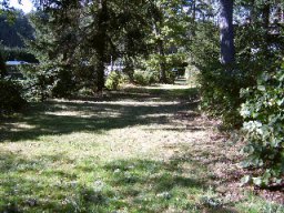 Schattiges Plätzchen